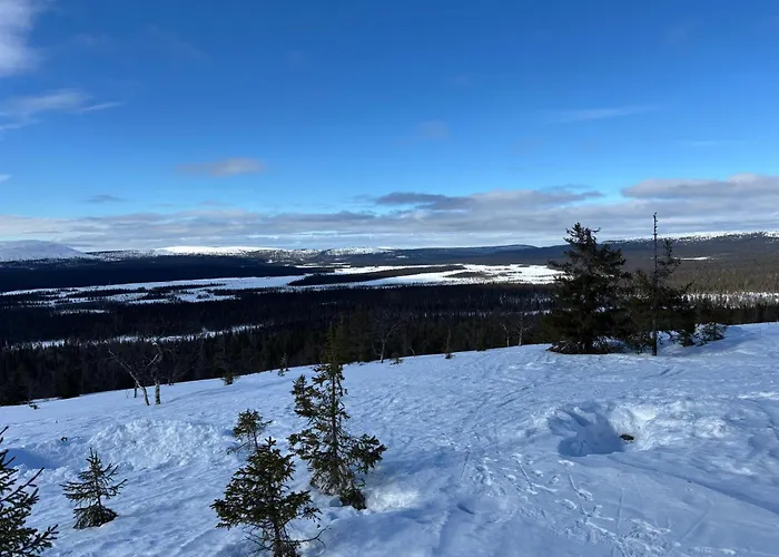 Pitkaekuusen Helmi 펜션 Äkäslompolo