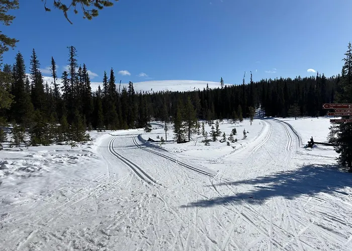 펜션 Pitkaekuusen Helmi Äkäslompolo