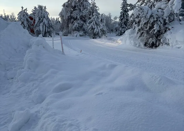 Pitkaekuusen Helmi 펜션 Äkäslompolo